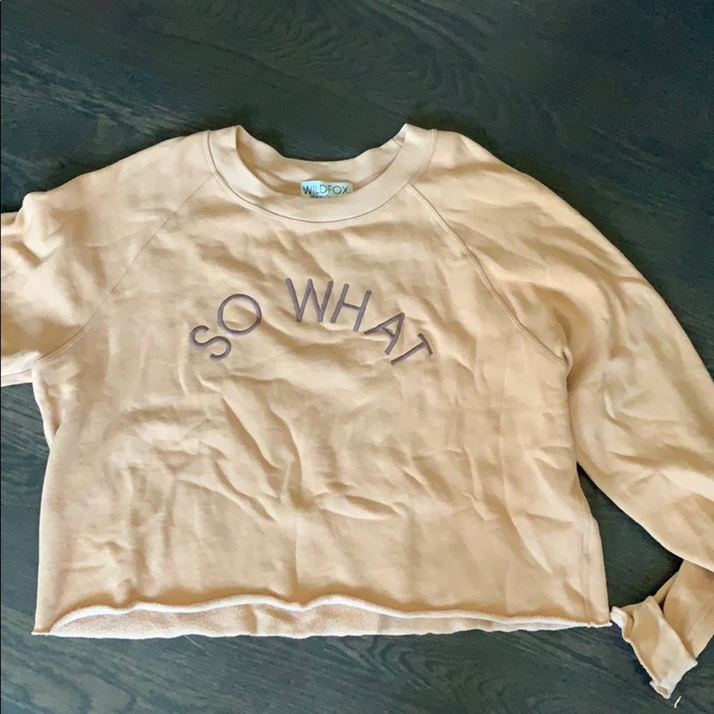 WILDFOX “so what” cropped hoodie